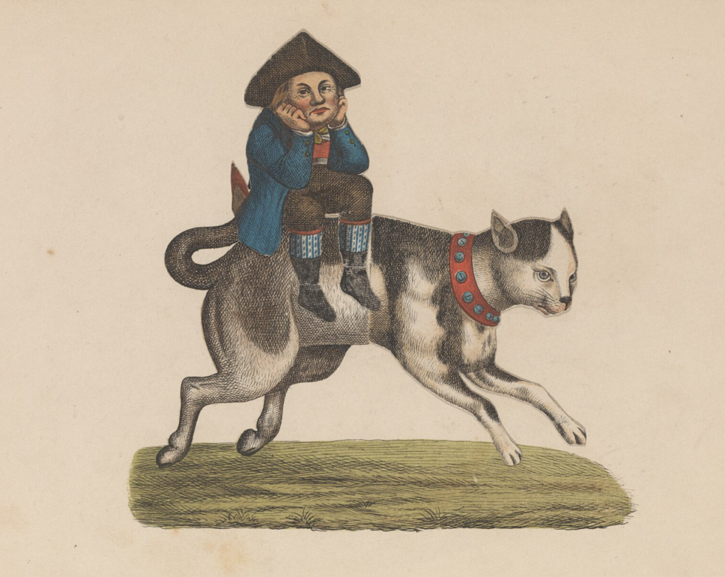 un garçon morose assis sur un chat