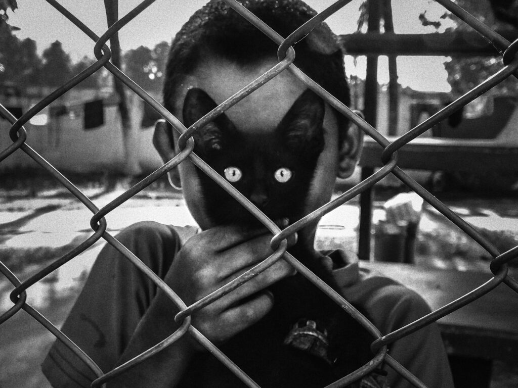 derrière un grillage, un jeune garçon tient devant son visage la tête d'un chat, donnant l'illusion que ses yeux sont les siens