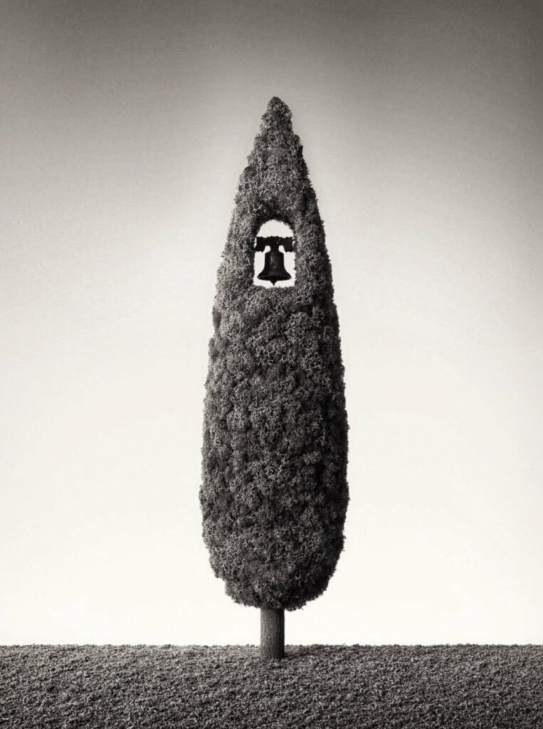 cyprès (ou if) de Pâques avec sa cloche