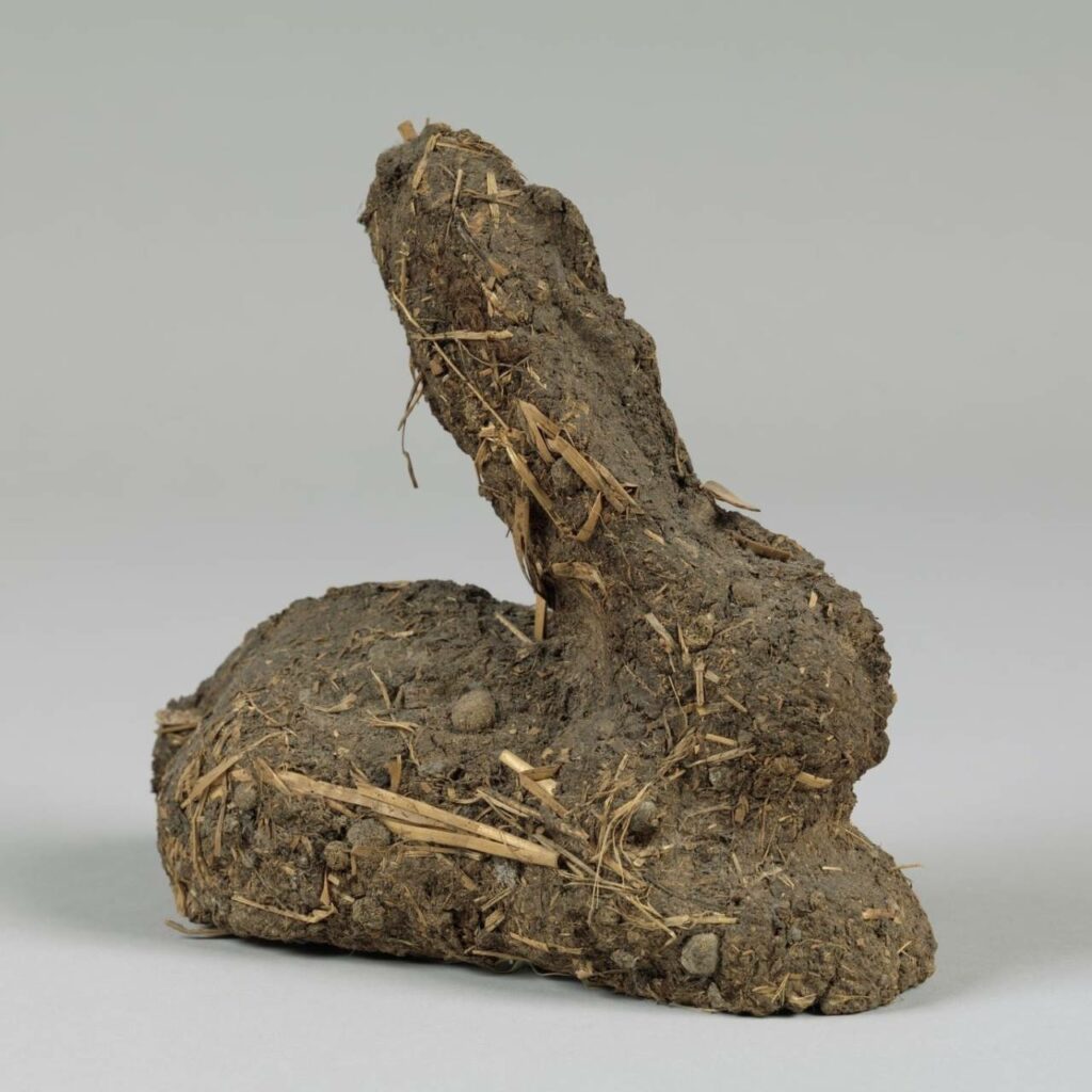 lapin de garenne, de paille et de crottes