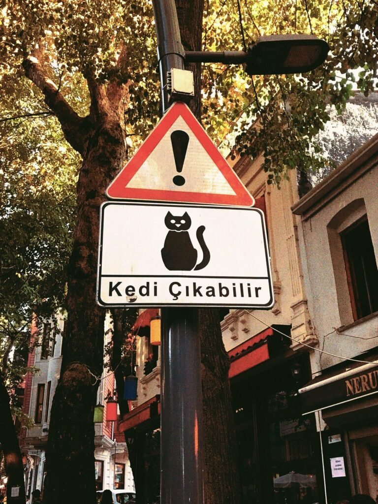 le panneau de signalisation stambouliote A15a3 indique la proximité de passage d’animaux domestiques félins situé à une distance d’environ 150 mètres en rase campagne et 50 mètres en agglomération 