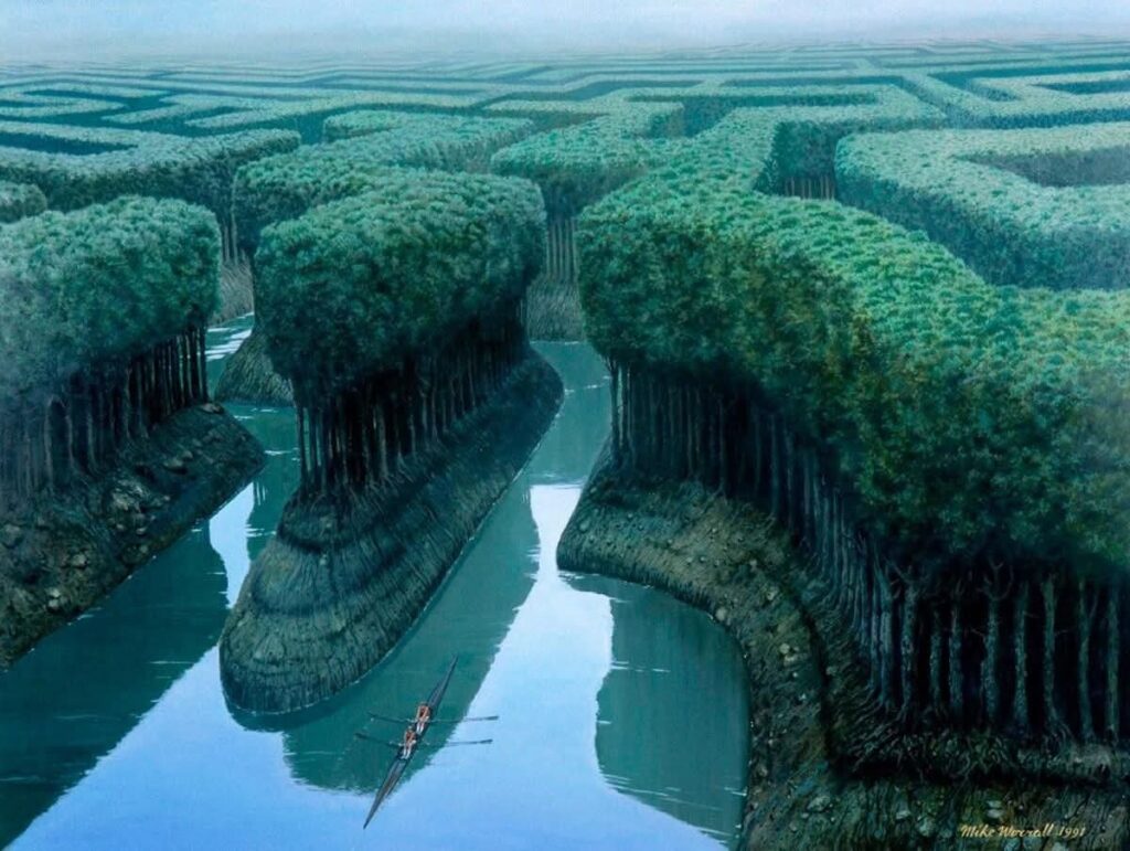 un équipage d'aviron glisse vers le labyrinthe de la forêt