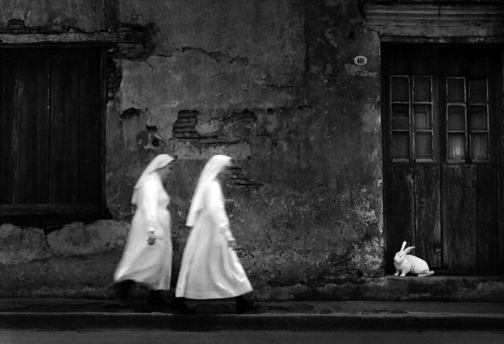 embusqué sous un porche, un lapin blanc guette le passage sur le trottoir de deux religieuses en blanc